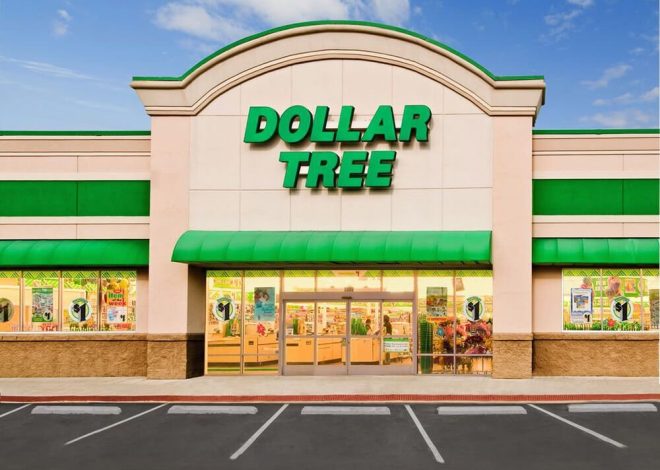 Dollar Tree Kitchen Essentials That Don’t Suck